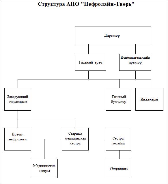 Структура организации